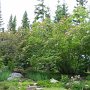 Jardins de Métis fleurs timides de juin